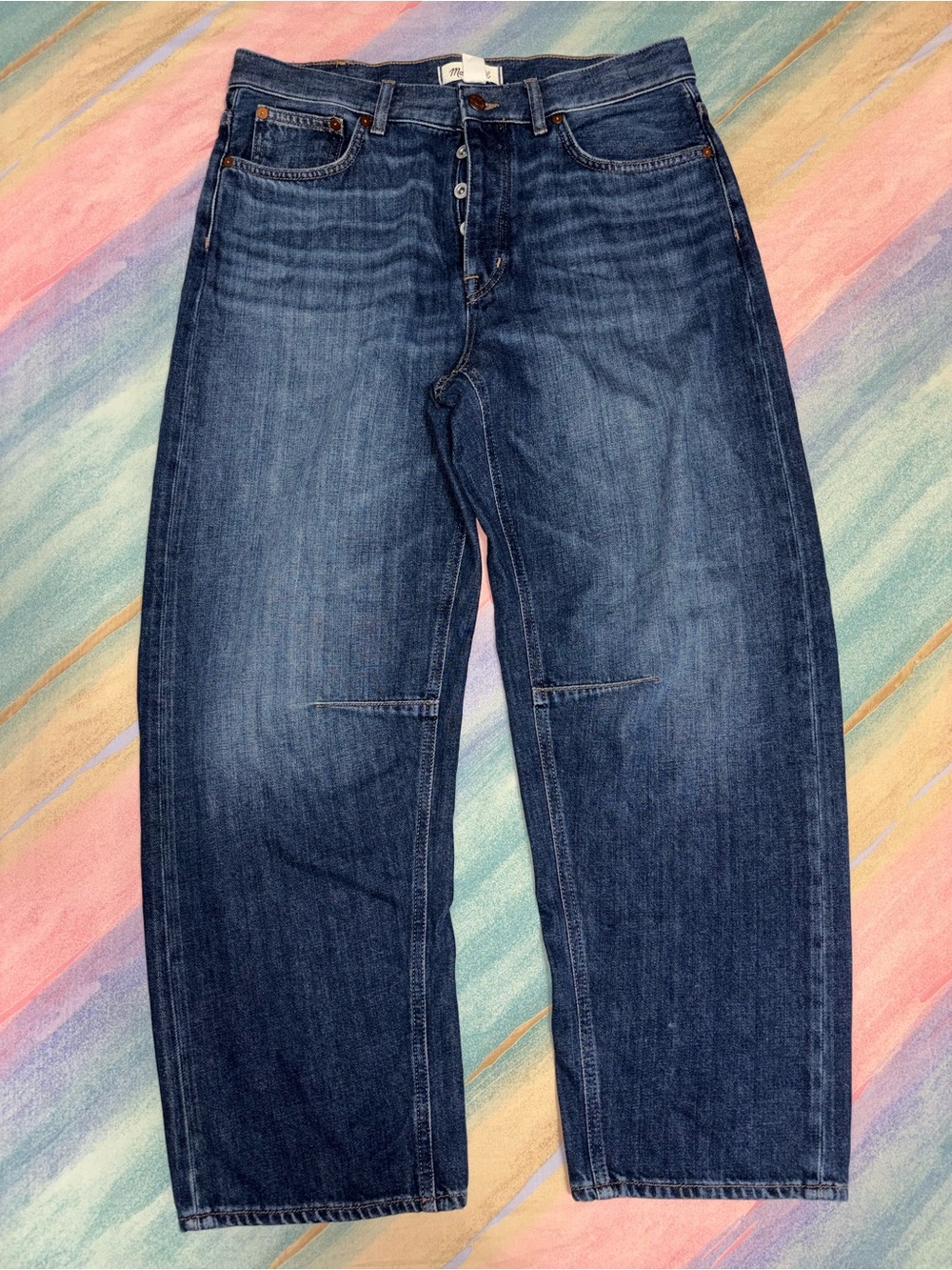 Madewell The Darted Barrel-Leg Jean Women’s Size 28 Button Fly blue wash